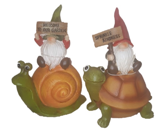 Garden Gnomes riding Snail or Turtle - 2 assorted